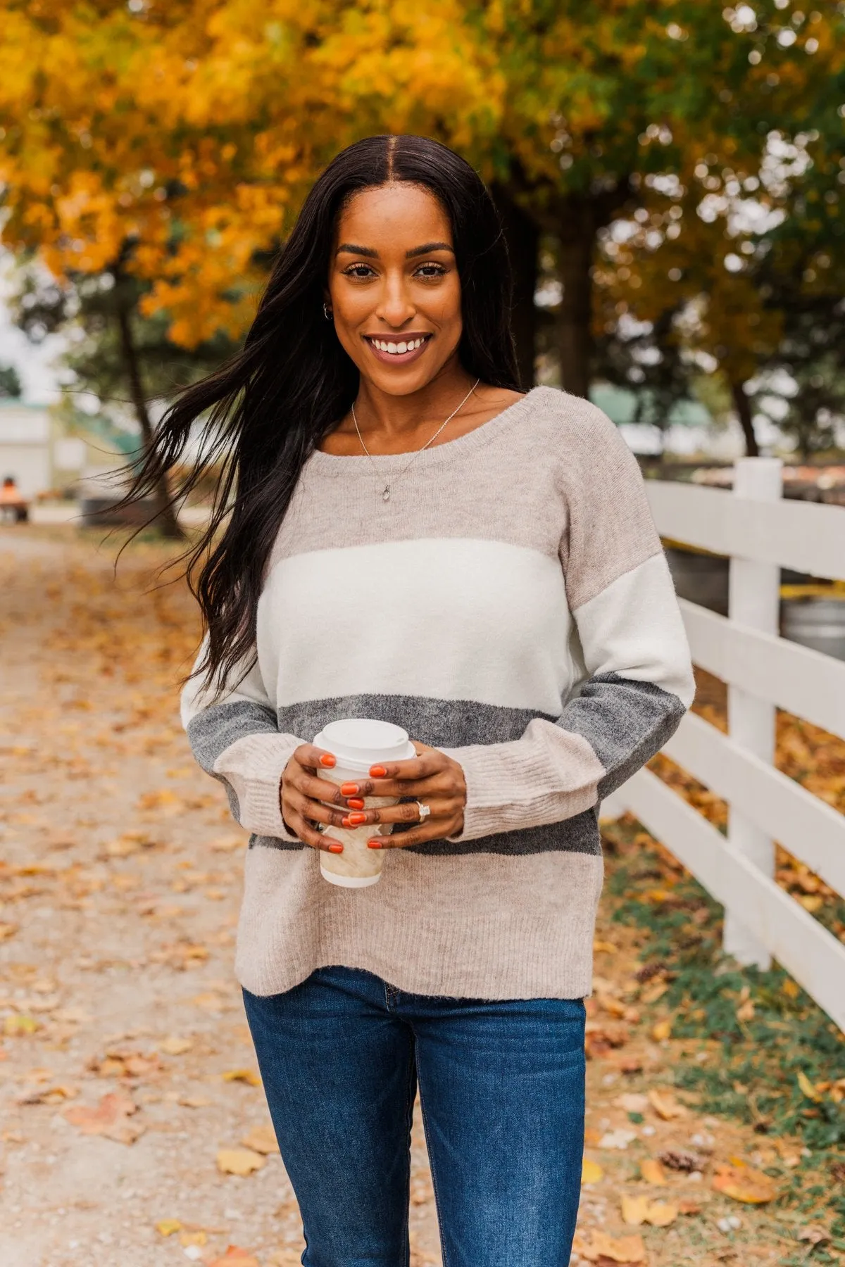 Inspirational Sights Color Block Sweater- Beige & Charcoal