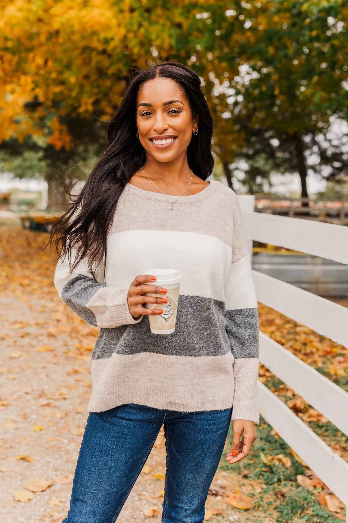 Inspirational Sights Color Block Sweater- Beige & Charcoal