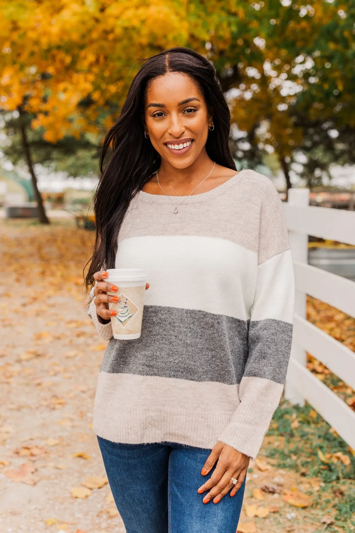 Inspirational Sights Color Block Sweater- Beige & Charcoal