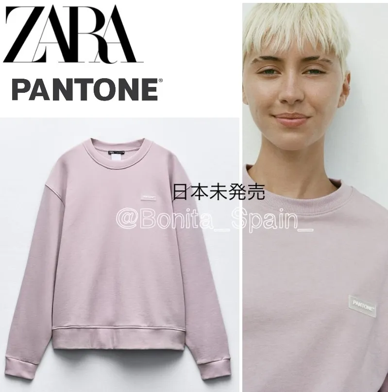 ZARA  |Hoodies & Sweatshirts