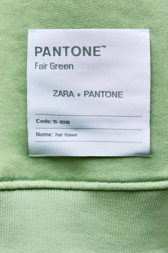 ZARA  |Hoodies & Sweatshirts