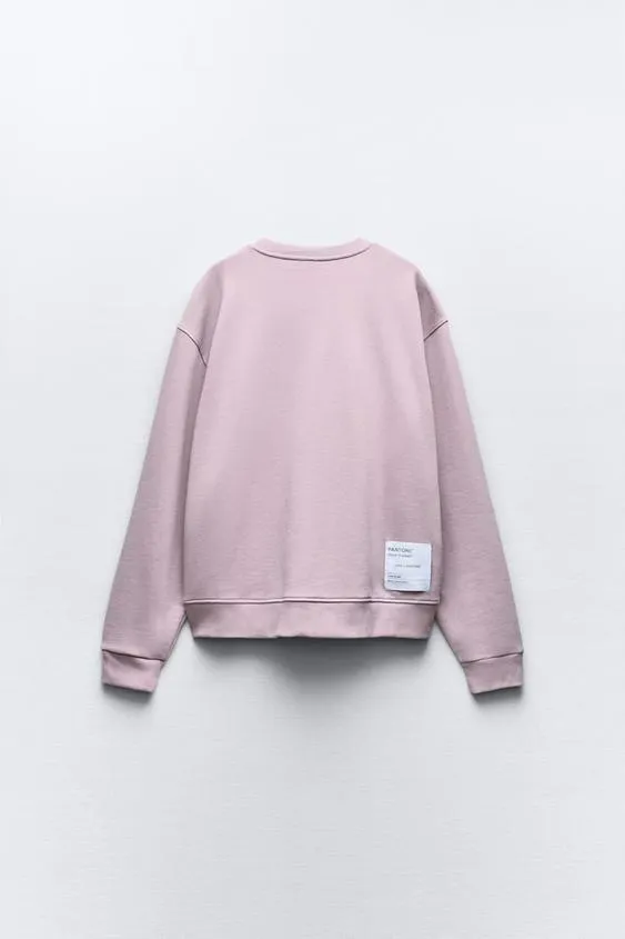 ZARA  |Hoodies & Sweatshirts